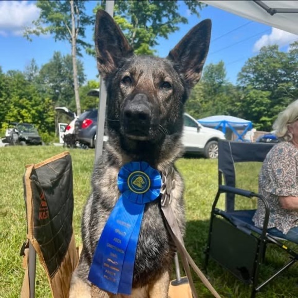 Meet your Posher, Kathie - Picture 1 of 1